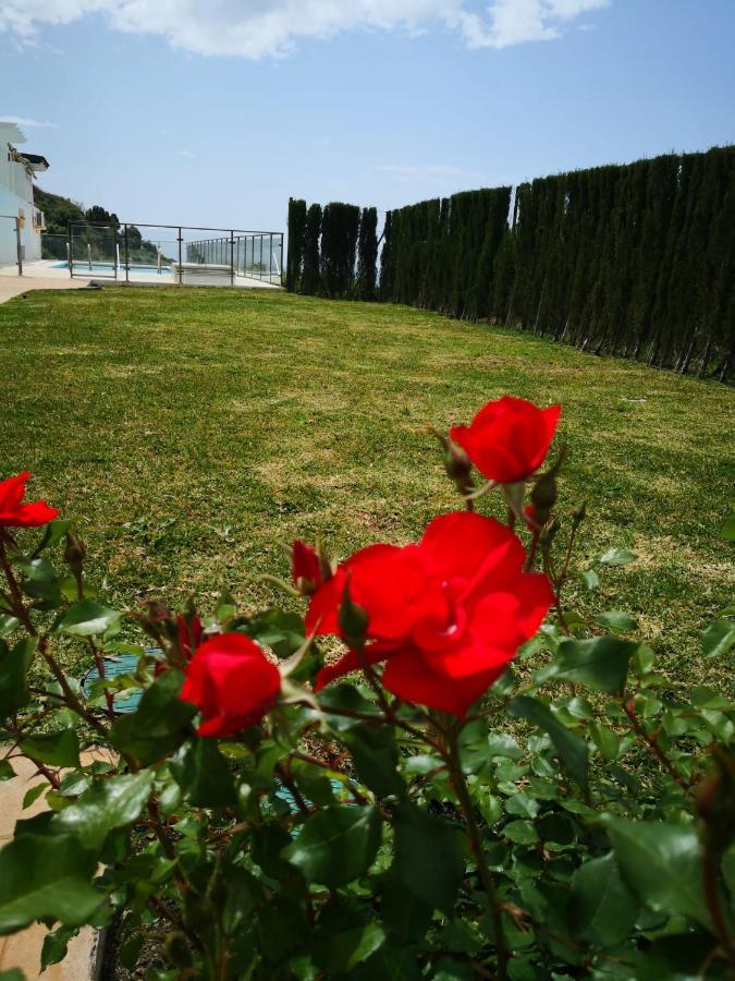 Appartement Dana I Eurogolf, Vistas, Wifi, Piscina Y Parking à Benalmádena Extérieur photo